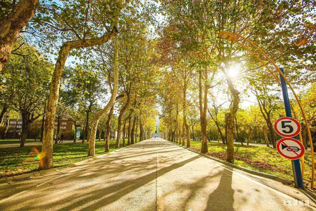 射洪職中怎么收費(fèi),一年學(xué)費(fèi)多少