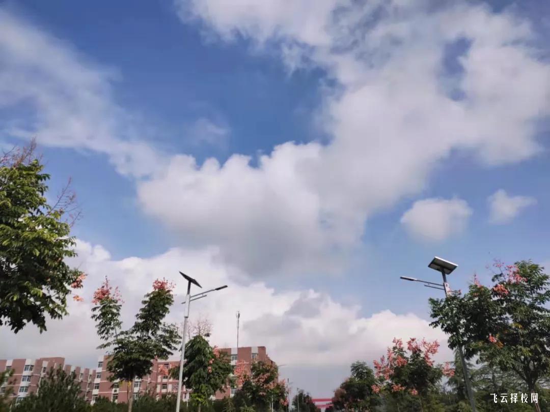 四川省弘博中專校怎么收費,一年學費多少