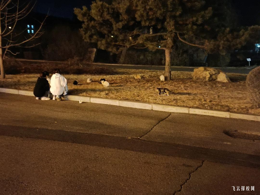 四川省江安職校在哪里,中專報(bào)名怎樣聯(lián)系