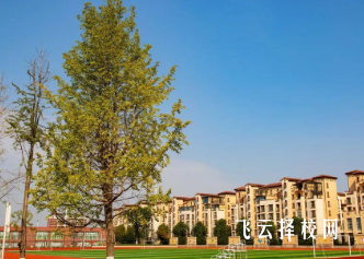 成都市宏德學校錄取分數多少,好考嗎