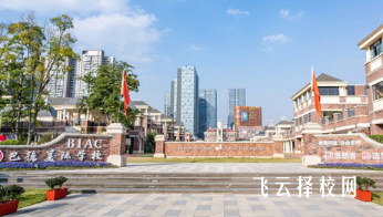 新都芭德美際學校升學率高嗎