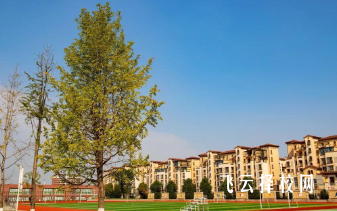 成都市宏德學校一年學費多少錢