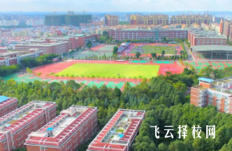 綿陽東辰高級中學地址在哪里