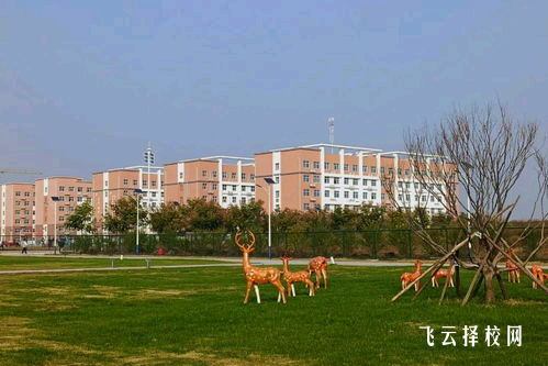 職業學校學什么專業好