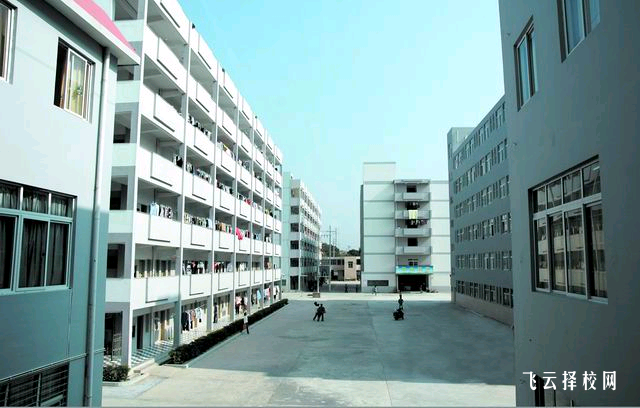 學計算機都有哪些專業