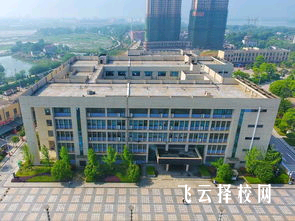 學計算機都有哪些專業