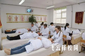 犀浦針灸學校位置在哪里