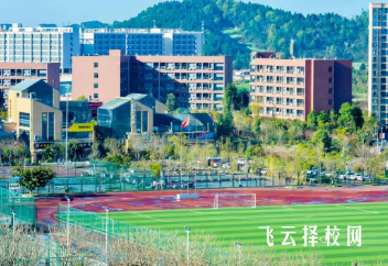 四川科技職業(yè)學(xué)院收少數(shù)民族嗎