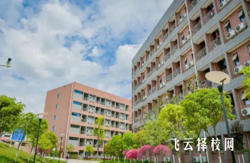 四川科技職業學院是公辦還是民辦