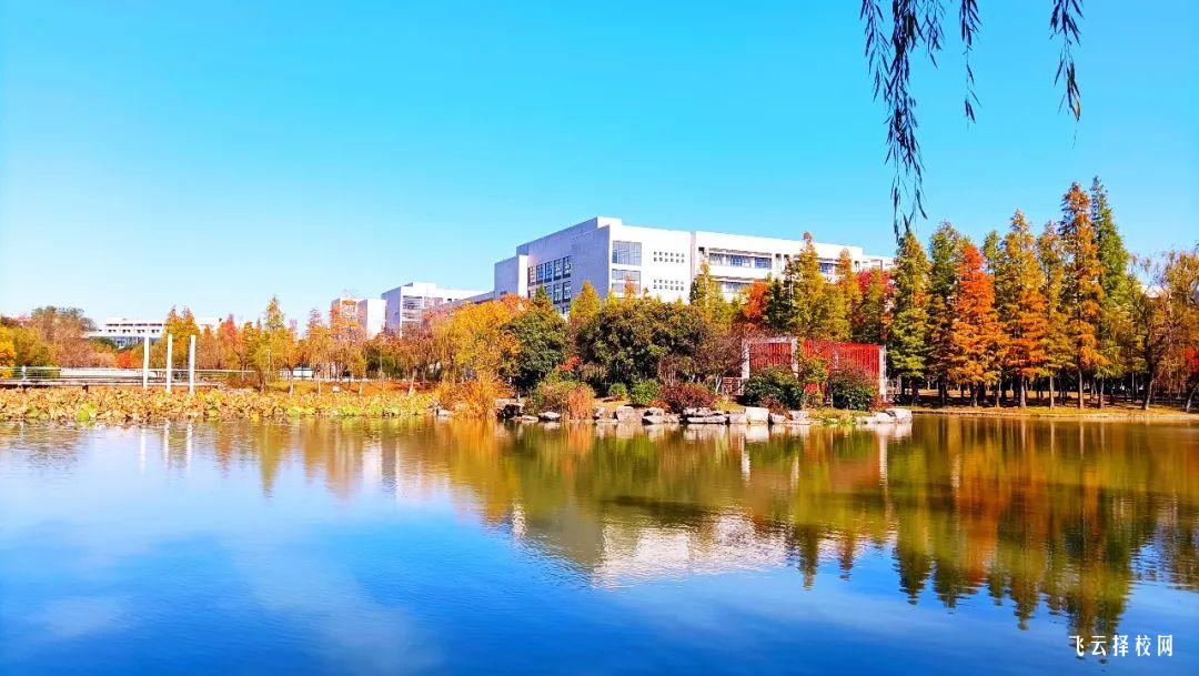 青白江職高有哪些學(xué)校