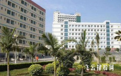 攀枝花衛校在哪里