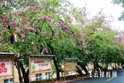 攀枝花攀西職業學校學費是多少