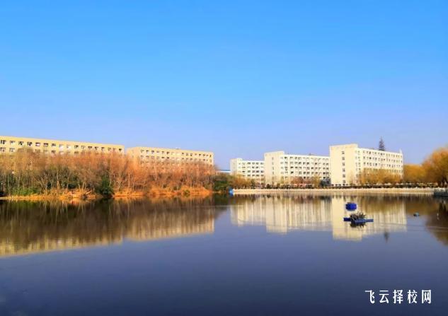 女孩上中專學什么專業好