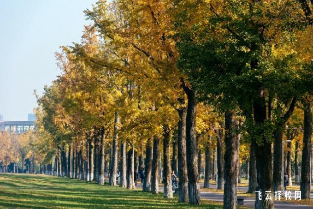 南充運輸工程職業學校有什么專業