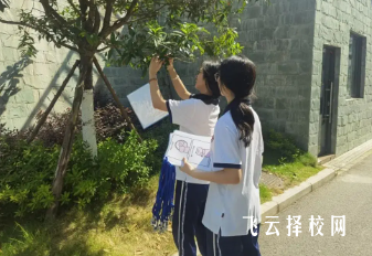 綿陽有哪些公辦職業高中學校