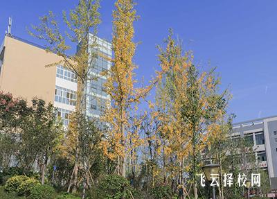 眉山藥科職業(yè)學(xué)院有哪些專業(yè)