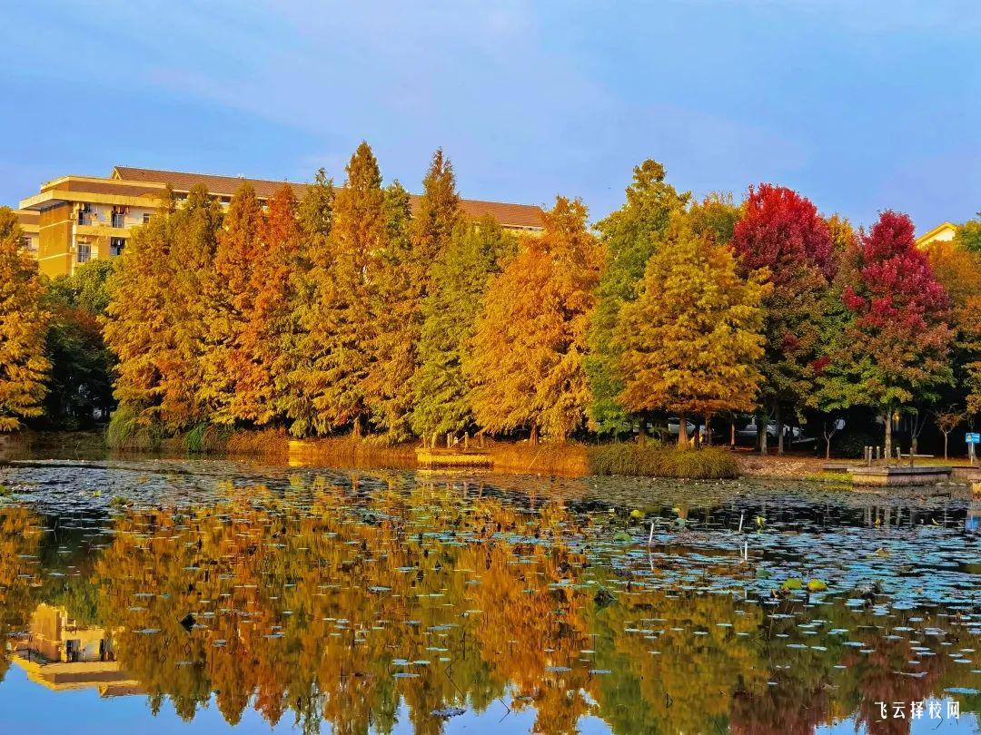 羅江區有那些職高