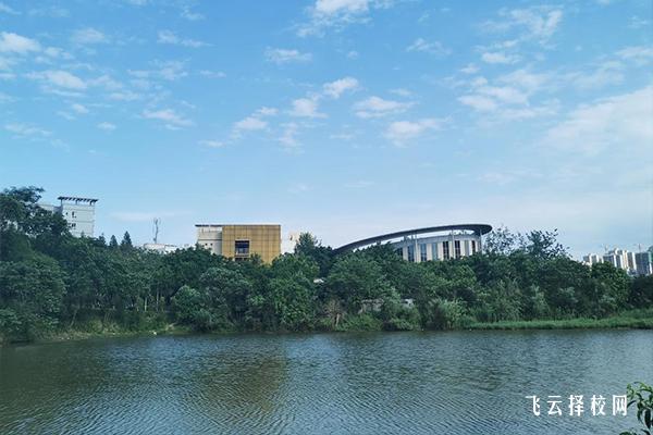瀘州衛(wèi)校的地址在哪里