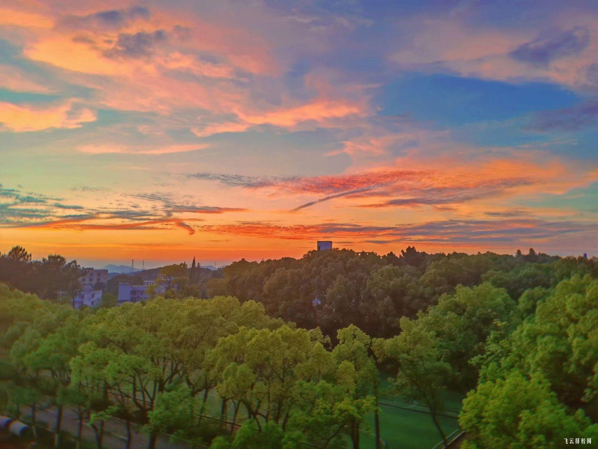 瀘職校有些什么專業