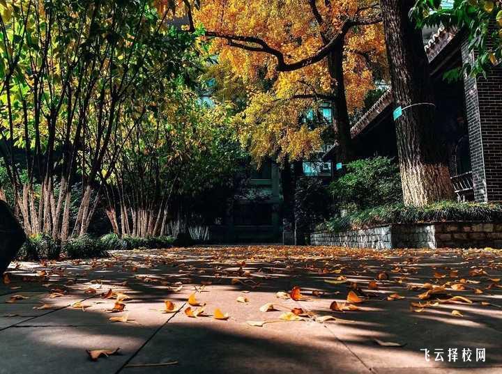 樂山職業(yè)技術學院中專部地址