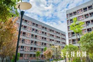 成都市新都一職高怎么樣