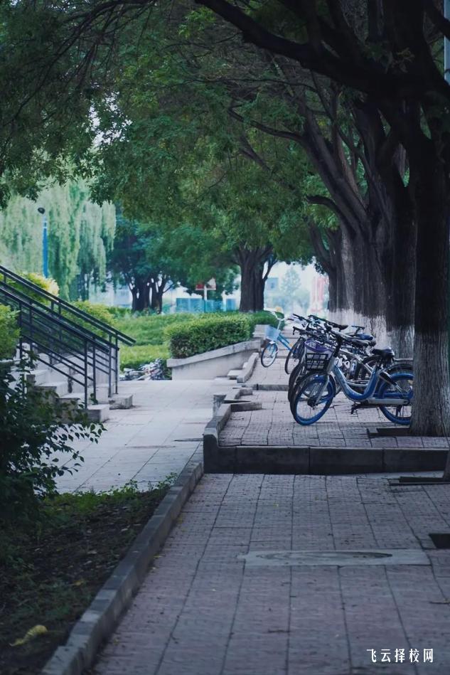 不用考直接讀的大專學(xué)校