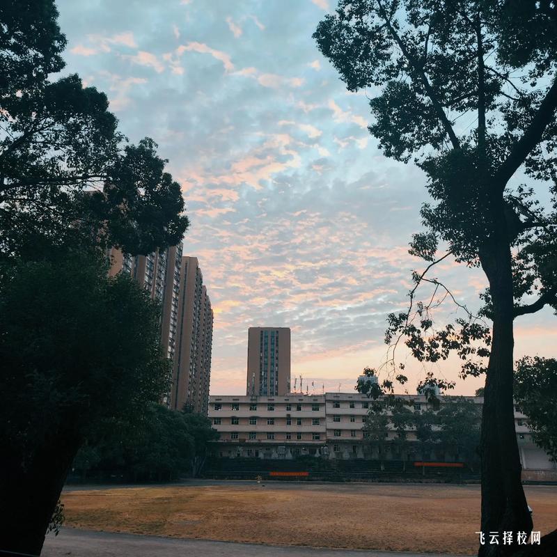 成都華大衛校是中專還是大專