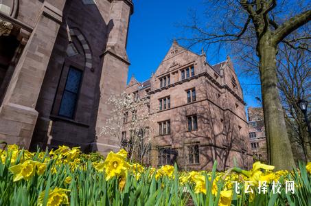 成都有幼師專業(yè)的大專