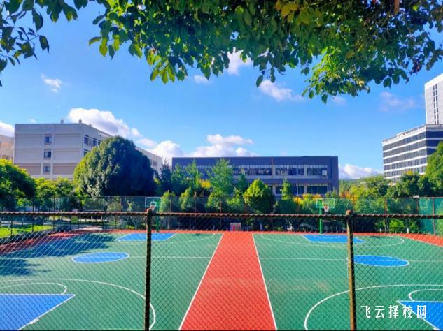 成都正在招生的大專學校