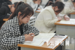 2024單招通用和信息技術復習要點