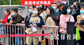 2024年單招報(bào)考人數(shù)