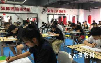 2025單招有沒有本科學(xué)校