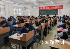 2025單招志愿可以填省外嗎