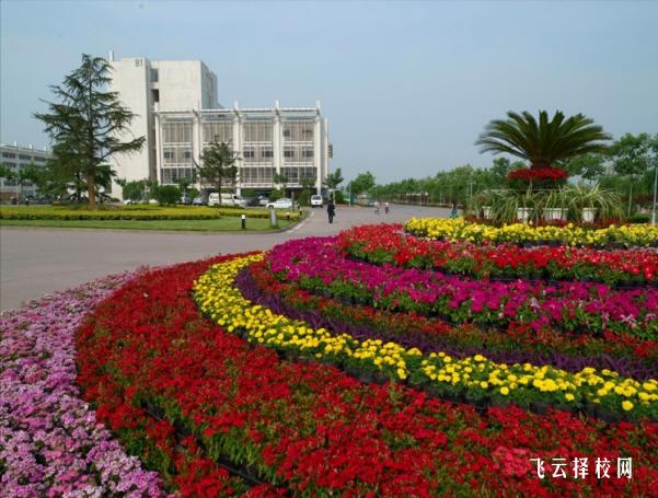 戴氏單招培訓怎么樣,多少錢