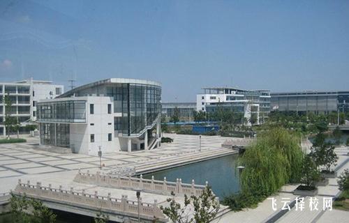 單招到底好不好