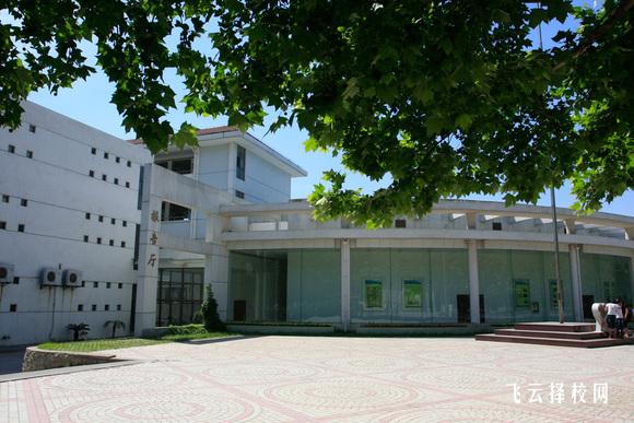 單招到底好不好