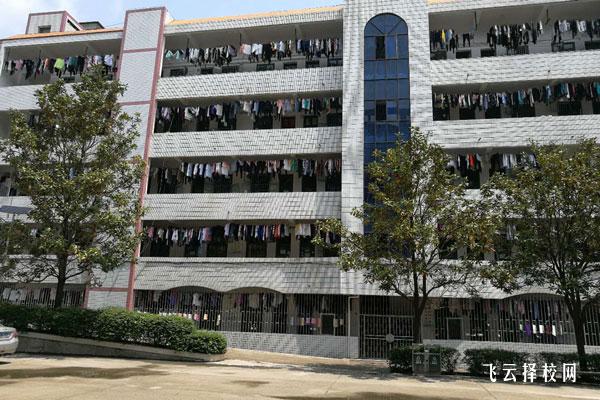 單招的專業有哪些