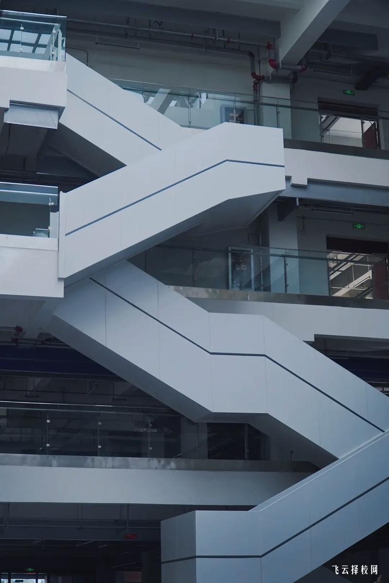 單招多久開始報名