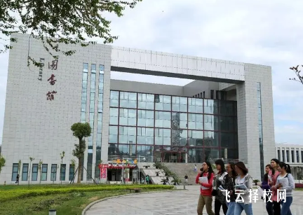 單招可以走藝體嗎