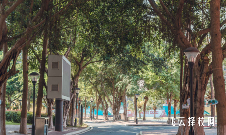 都江堰單招培訓學校有沒有