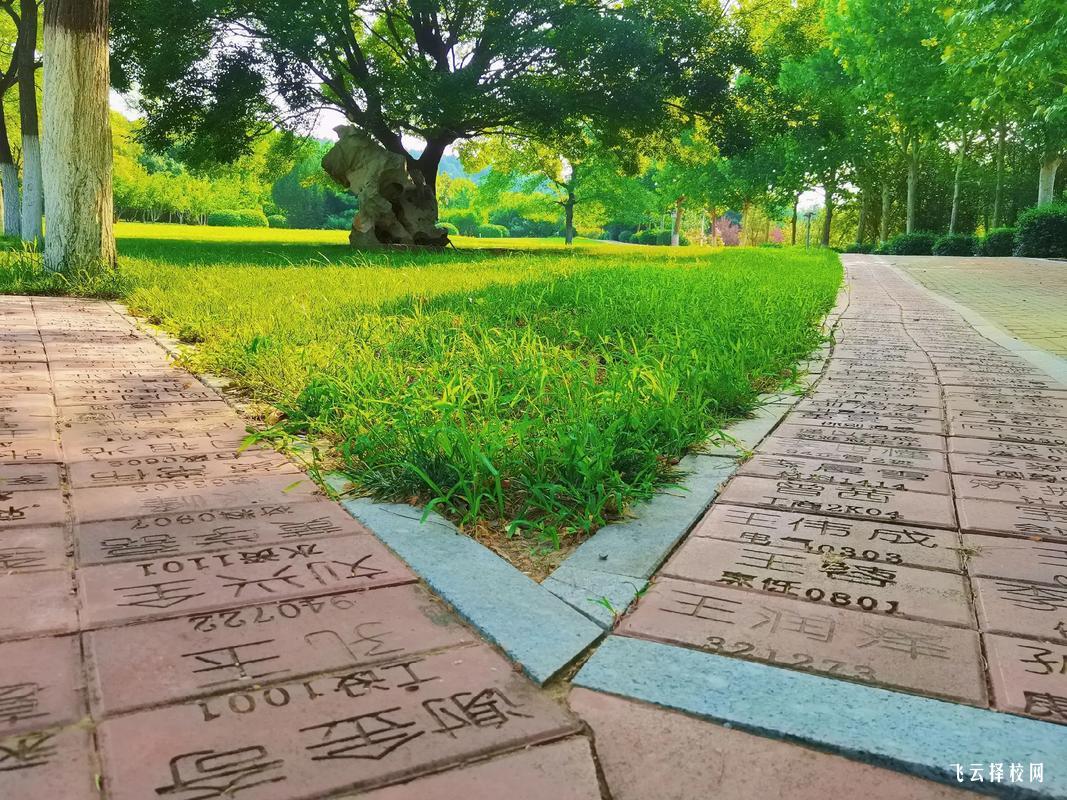 眉山藥科護理單招分數(shù)線多少