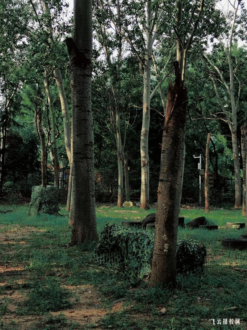 眉山藥科護(hù)理單招分?jǐn)?shù)線多少