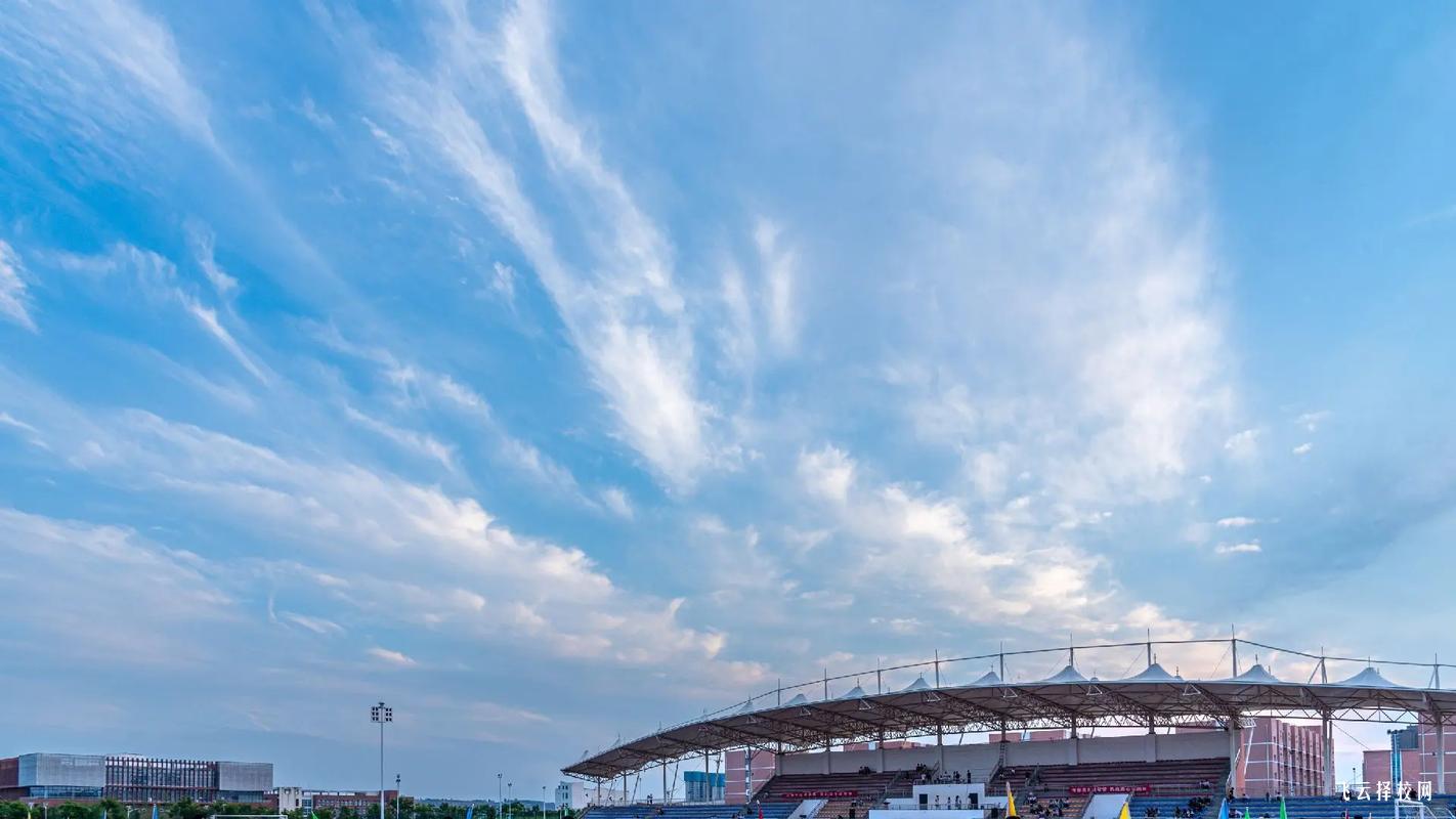 理科單招學(xué)什么專業(yè)比較好