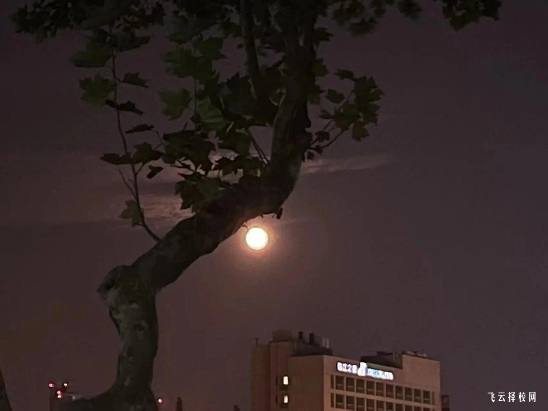 理科單招學(xué)什么專業(yè)比較好