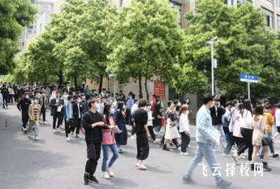 單招填報志愿是看分數填嗎