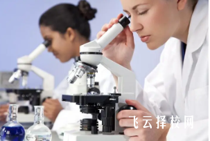 單招學哪些專業好就業