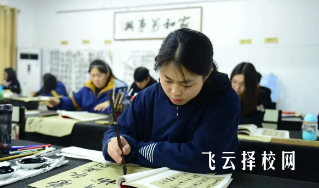 單招有書法專業嗎