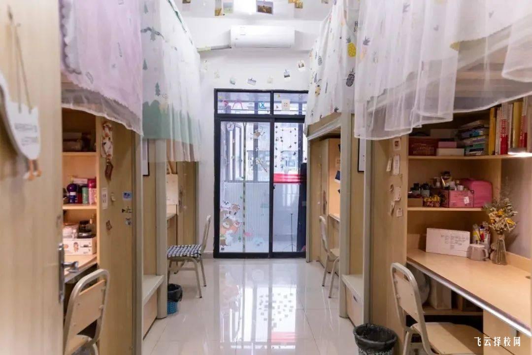 今年單招最新消息