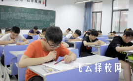 四川24單招有多少人報考