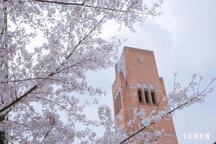 四川單招本科學校有哪些